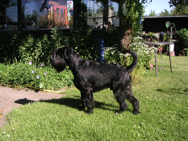 Bild 278.jpg